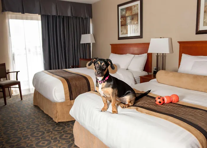 Best Western Brantford Hotel And Conference Centre