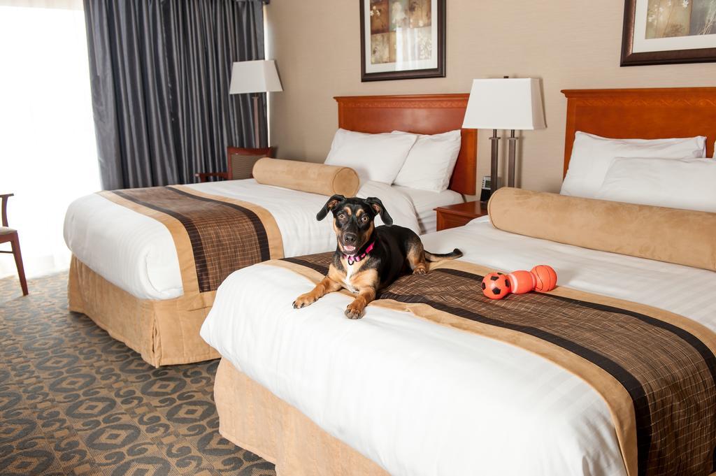 Western And Conference Centre Hotel 3*